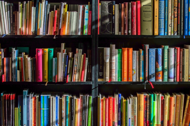 boutique-ST JEANNET-min_books_bookstore_book_reading_shop_writer_sale_books_read-822866